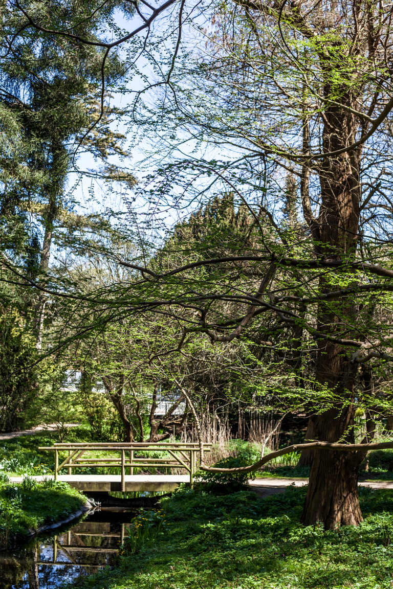 Kieler Ecken Der Alte Botanische Garten Förde Fräulein