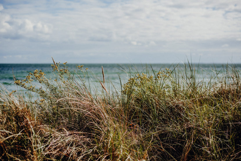 Meine WohnmobilTour auf der Ostseeinsel Fehmarn Förde