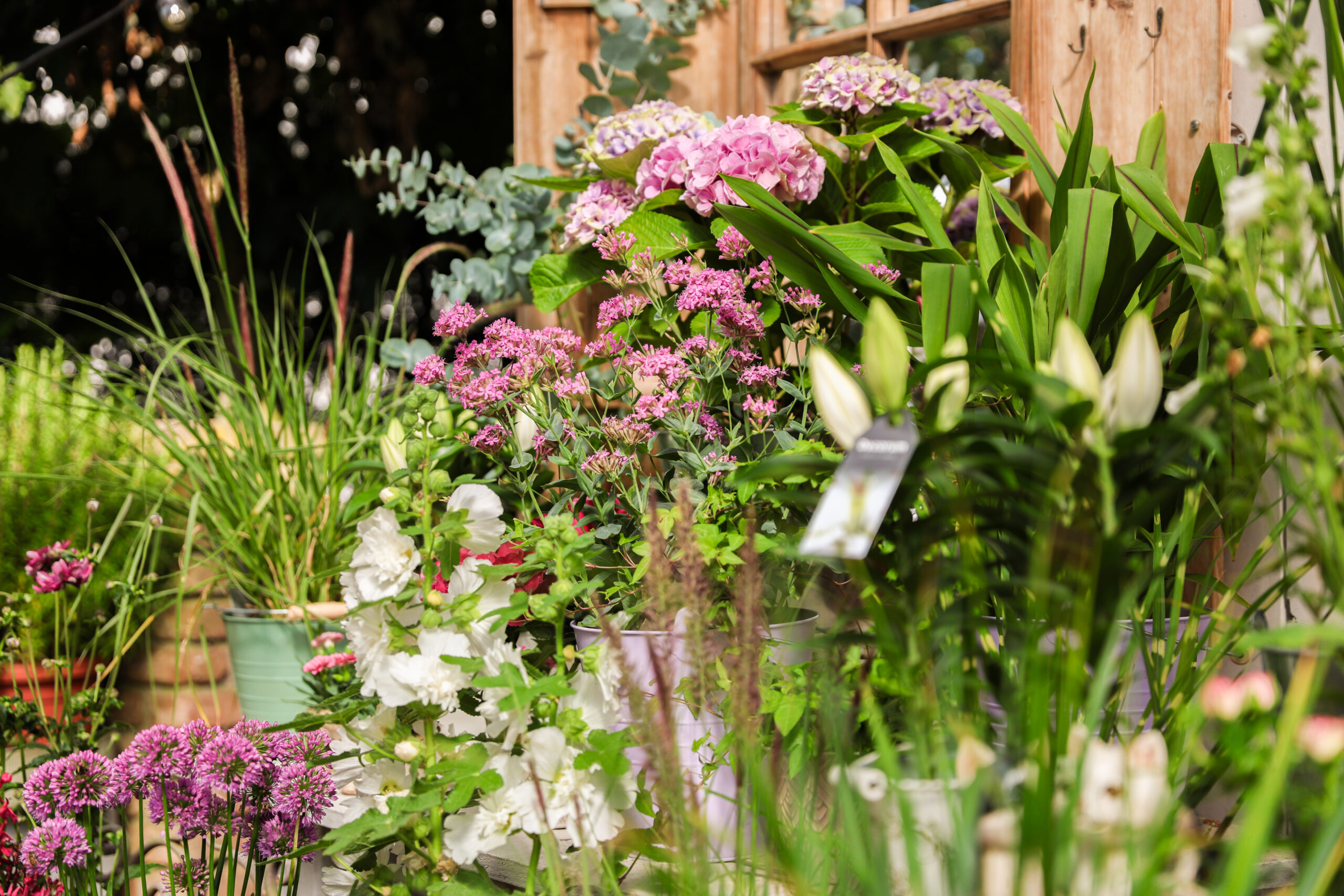 Außenbereich vom Blumenladen Alles Blume in Bordesholm