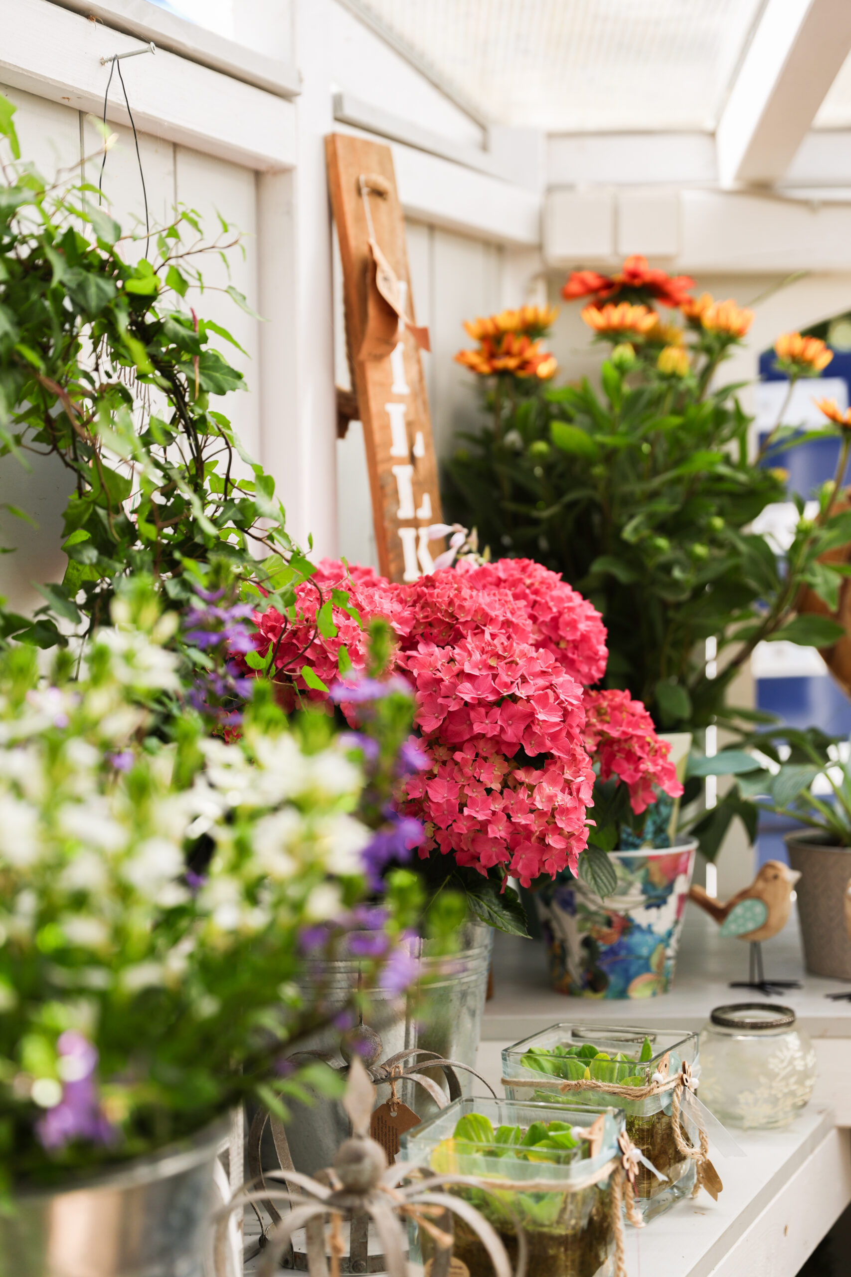 Außenbereich bei Alles Blume in Bordesholm