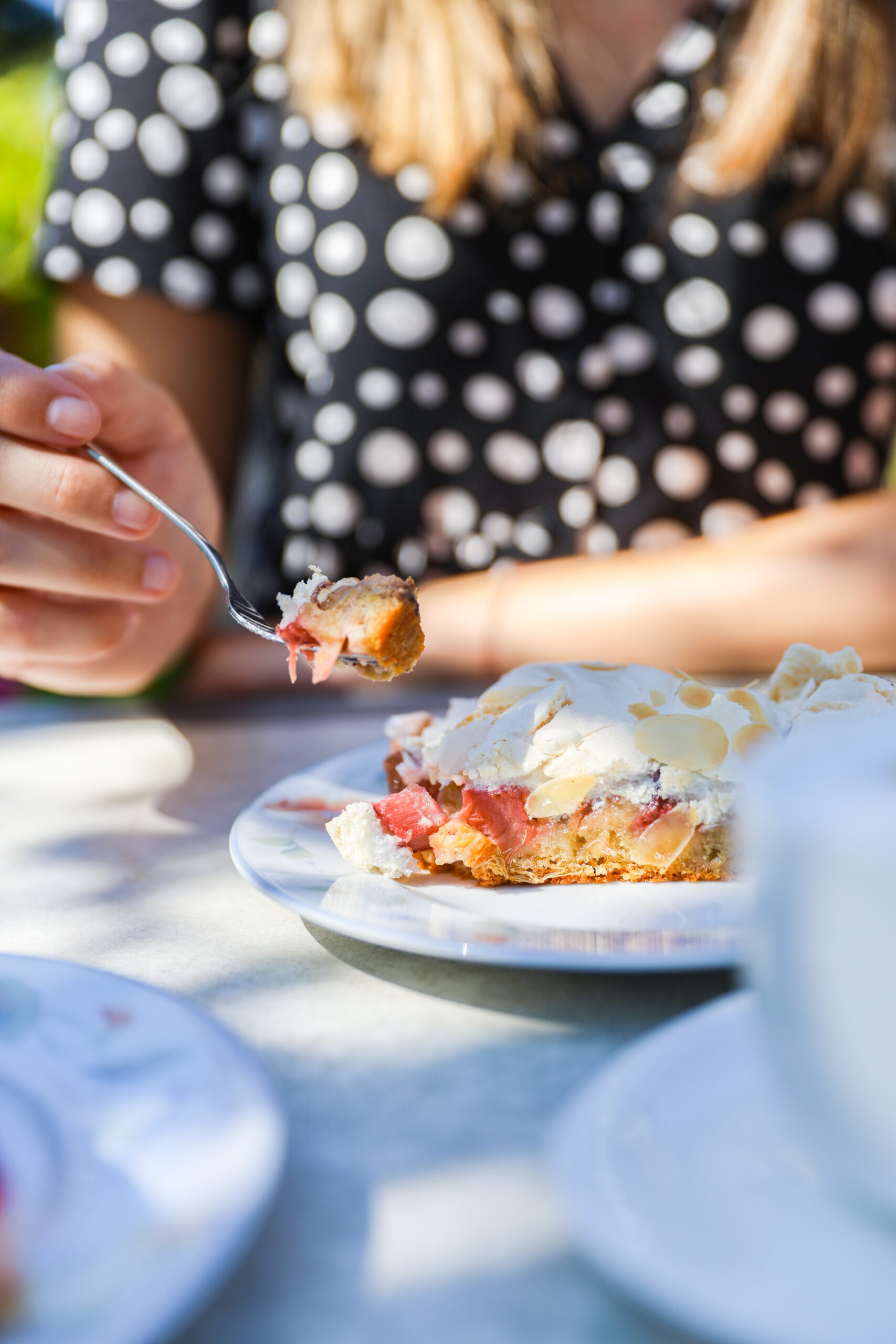 Rhababerkuchen im See Café Bordesholm