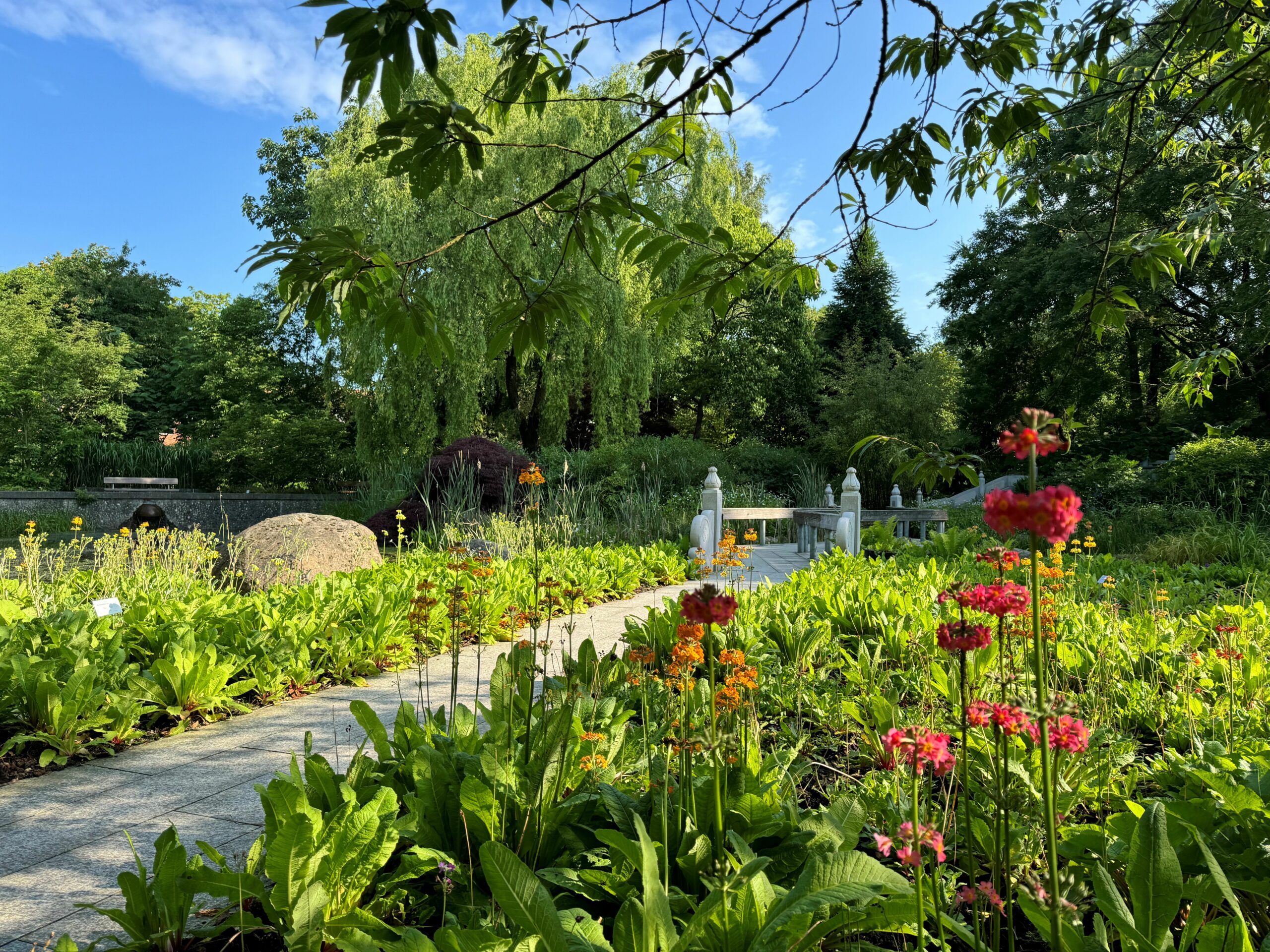 Der China-Garten im Loki-Schmidt-Garten als kostenloser Tipp für Hamburg 