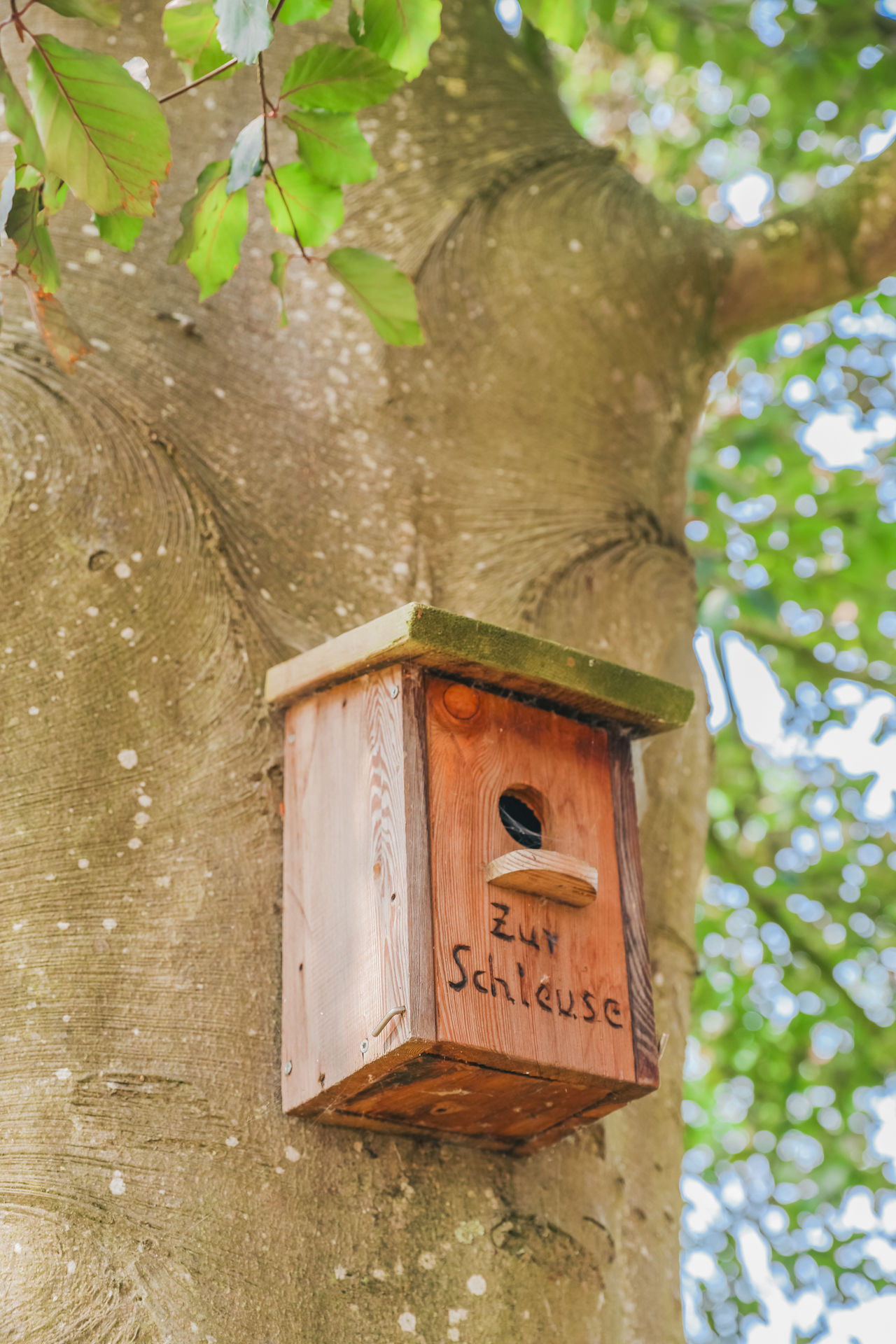 Vogelhaus mit Gravur „Zur Schleuse“