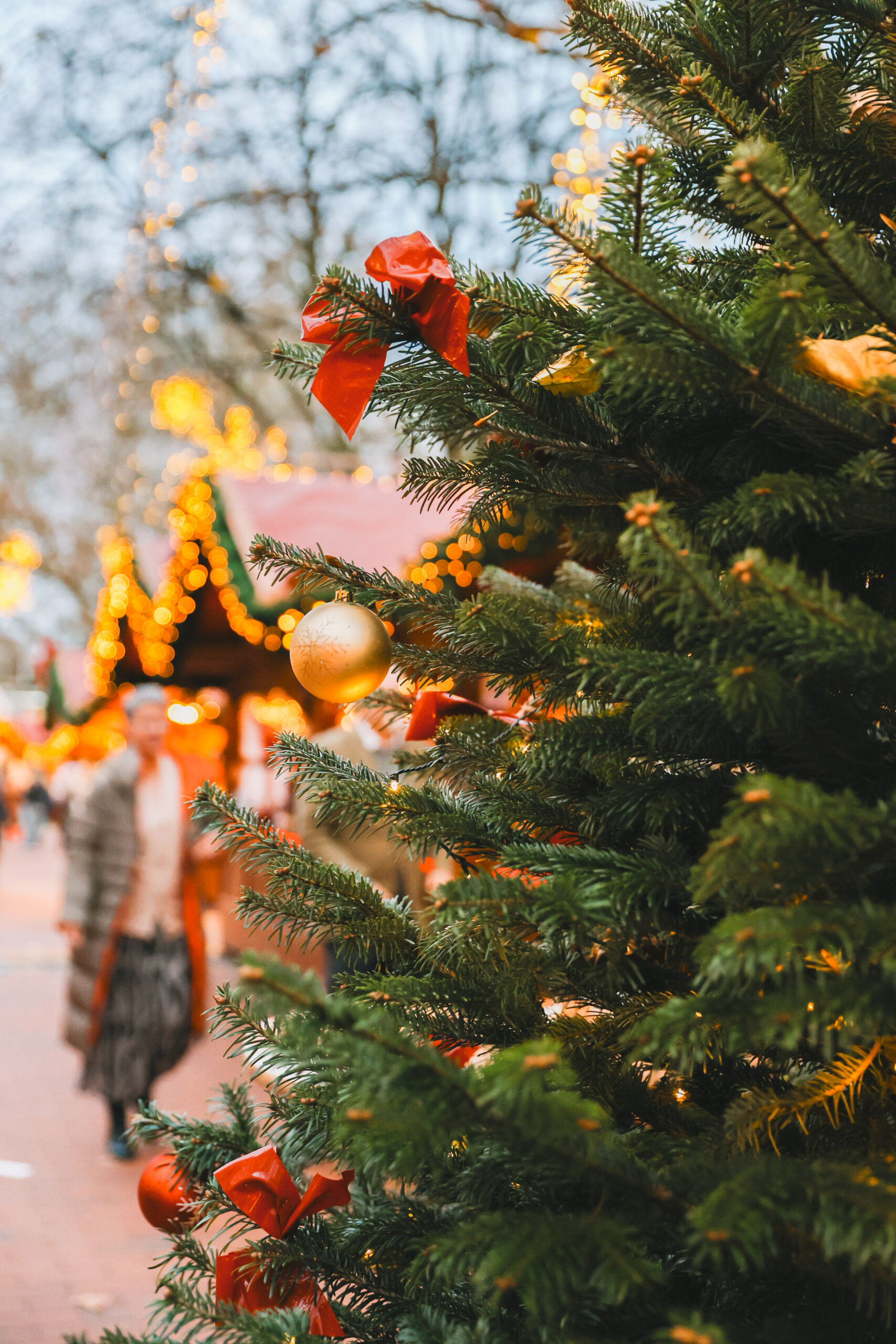 Geschmückter Tannenbaum auf dem Kieler Weihnachtsmarkt